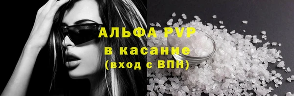 гашик Аркадак