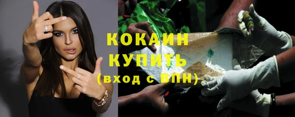 гашик Аркадак
