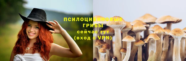 гашик Арсеньев