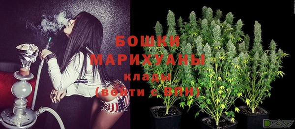 гашик Аркадак
