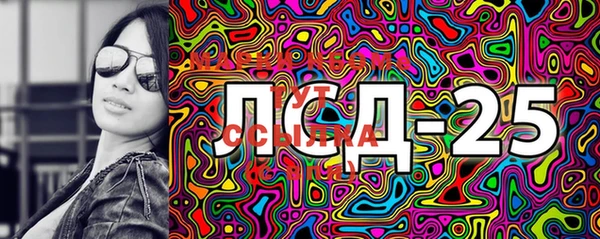 гашик Аркадак