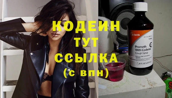 гашик Арсеньев
