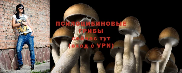 синтетический гашиш Армянск