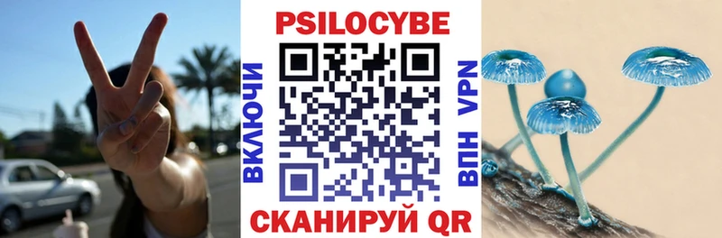сайты даркнета состав купить сайты Славск Галлюциногенные грибы мухоморы
